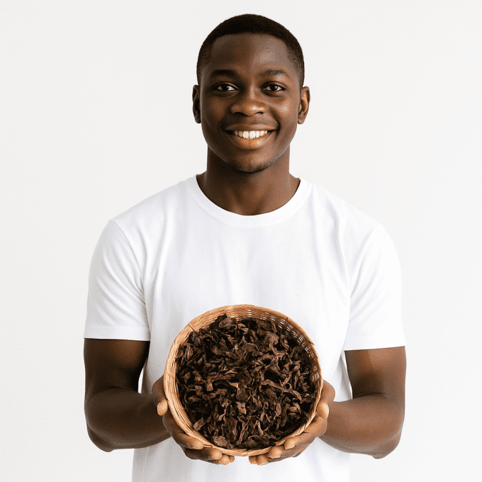 Feuille de basilic africain (tchiayo) en vrac (Ocimum gratissimum) 