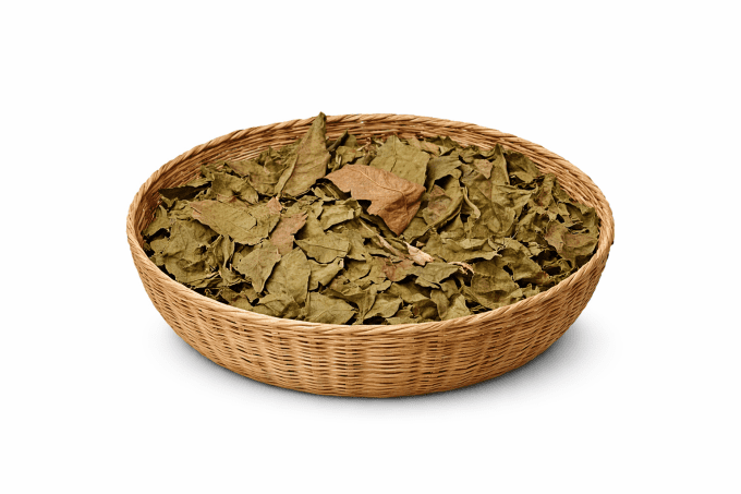 Feuille de Prunier d'Afrique en vrac