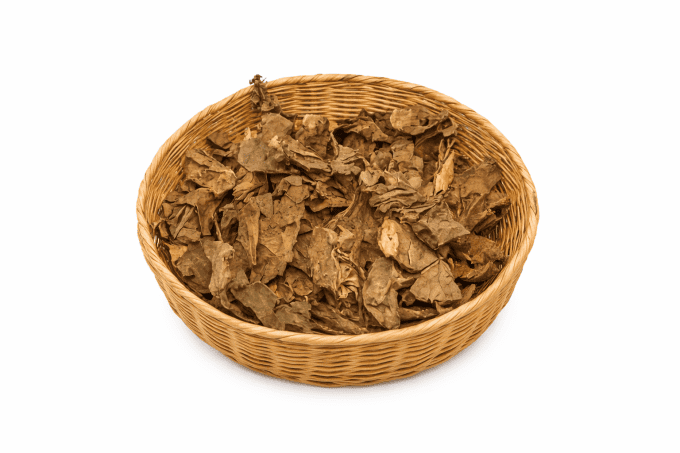 Jatropha blanc en vrac