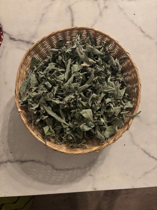 Feuille de Pois d'Angole