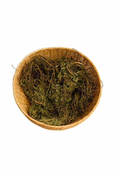 Feuille Abrus precatorius (viviman)