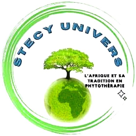 stecyunivers.fr